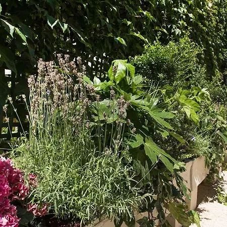 Helzear Etoile Hotel