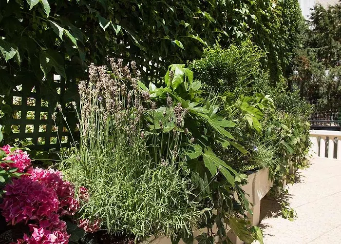 Helzear Etoile Hotel