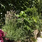 Helzear Etoile Hotel